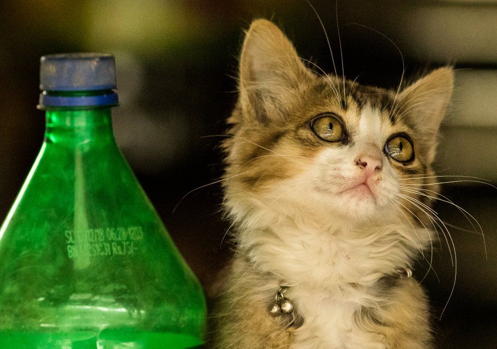 A drink for me too, please!