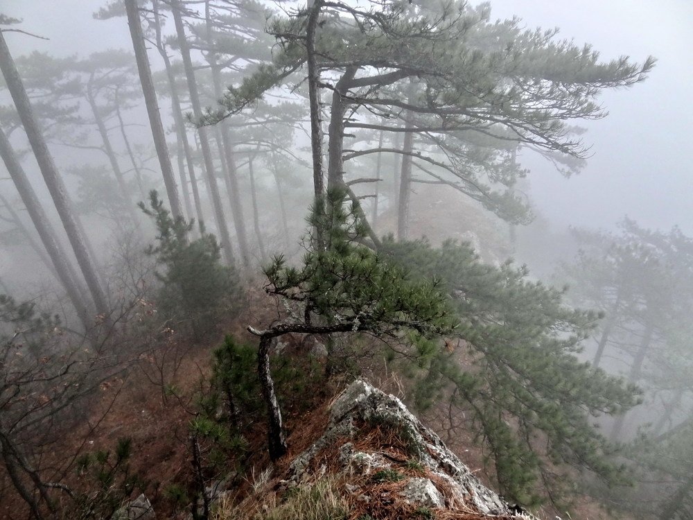 Туман на Ставри-Кая