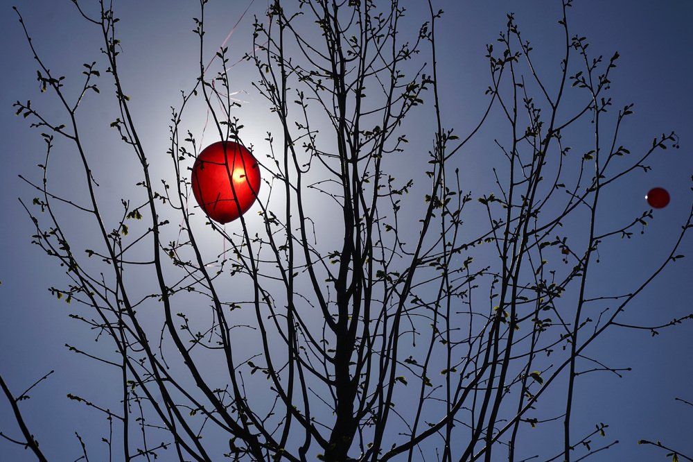 Photograph by Наталия Макарова