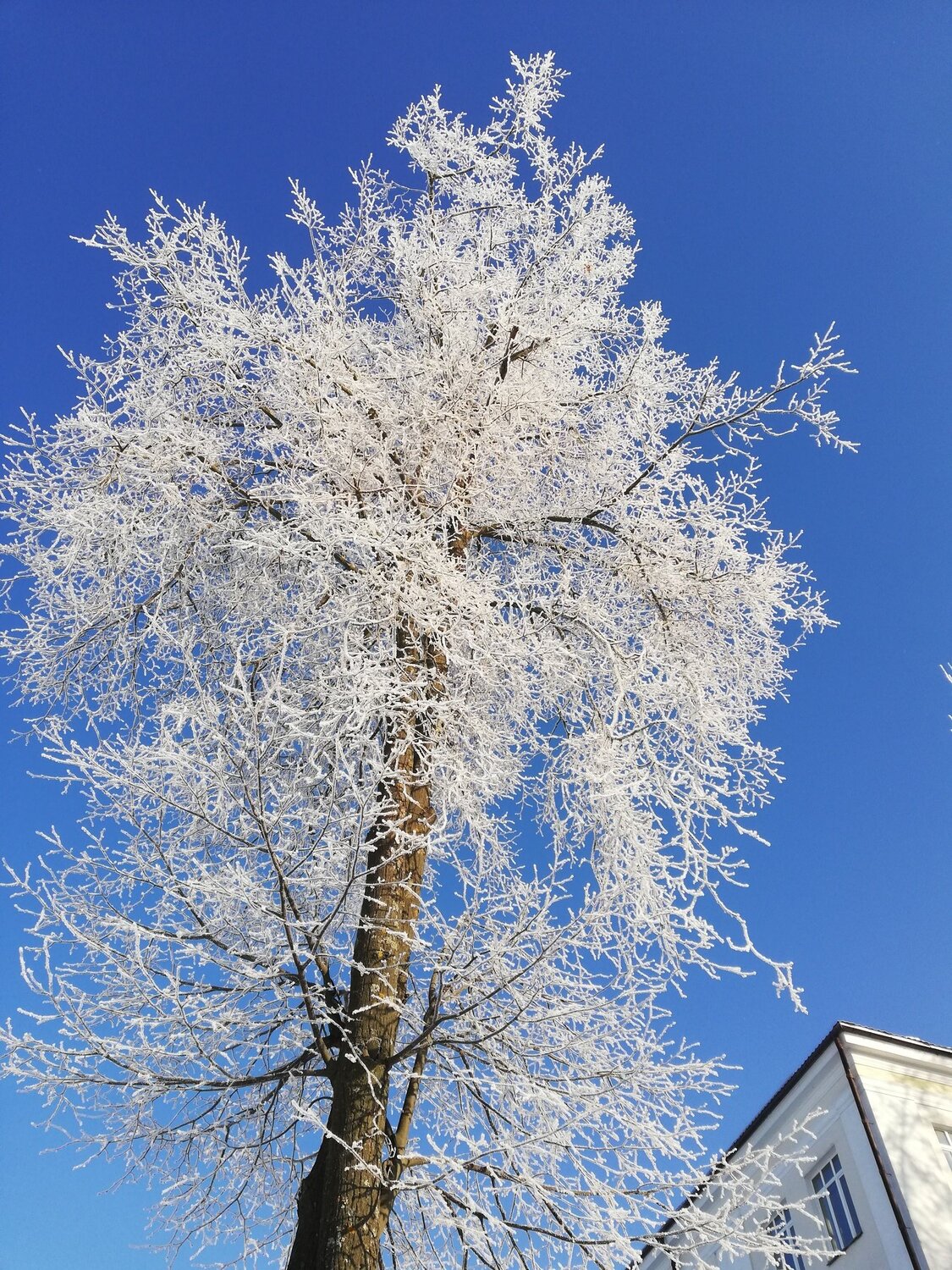 Зимой