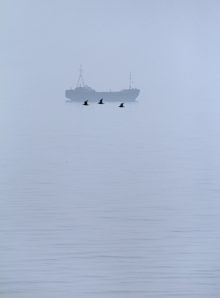 Photograph by Сергей Ладыгин