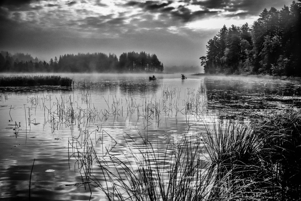 Утро на озере