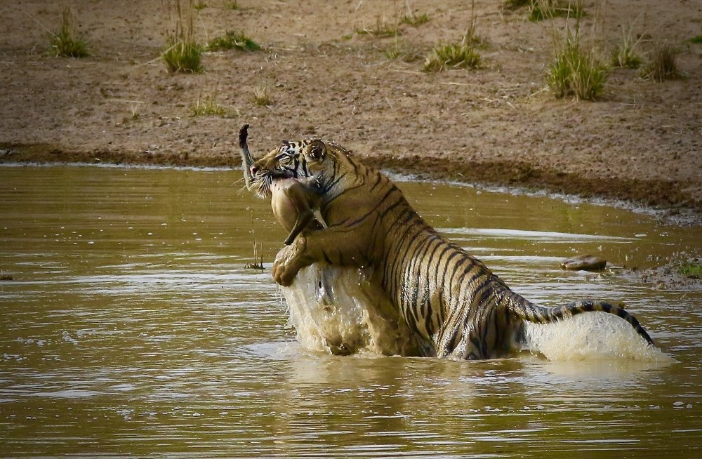 Mission Accomplished!