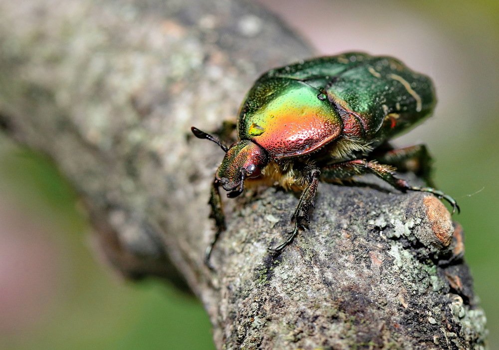 Photograph by Игорь Осипов