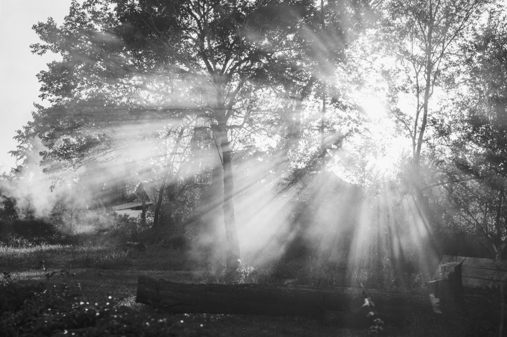 Photograph by Olesya Mikhailova