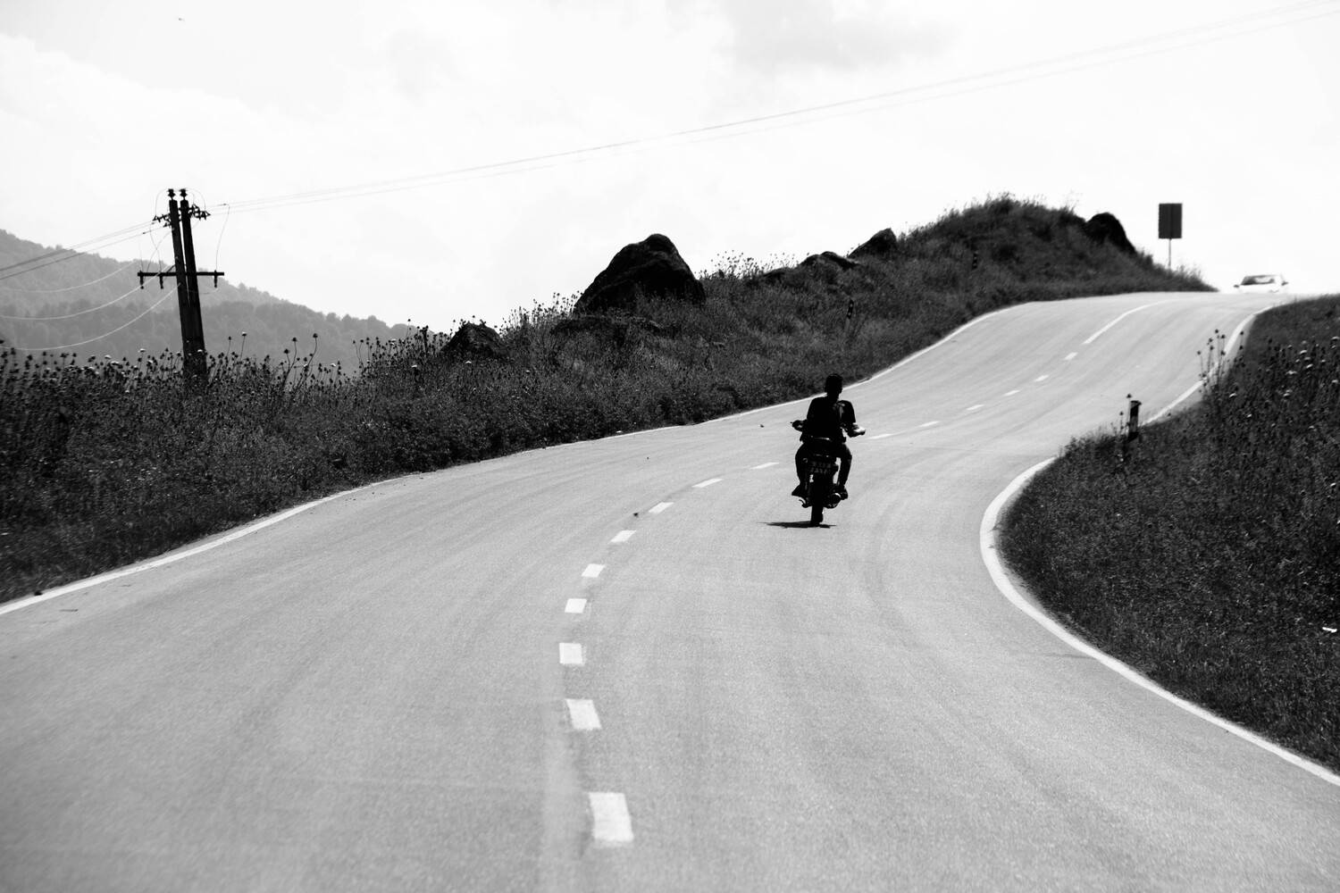 Photo #3237979
