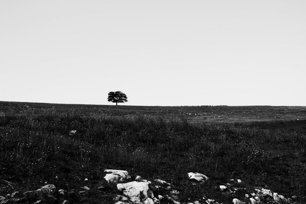 Photograph by Pouriakhamesi