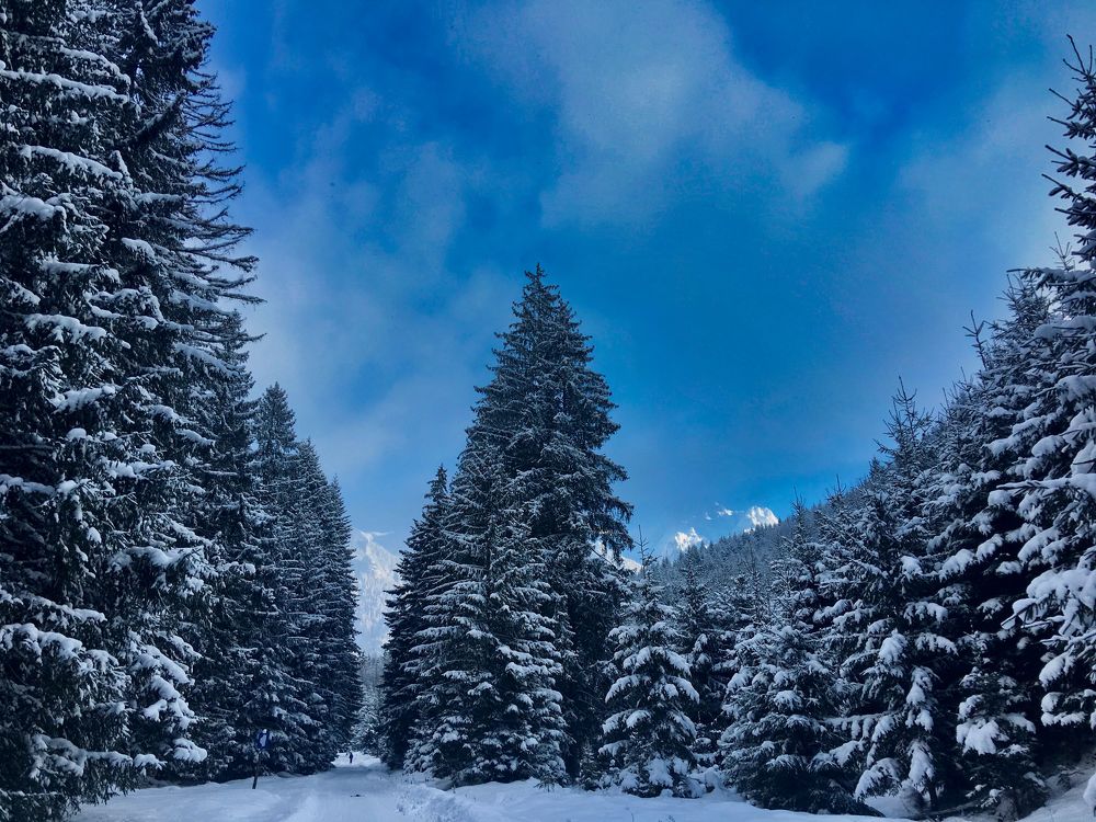 Зимняя сказка