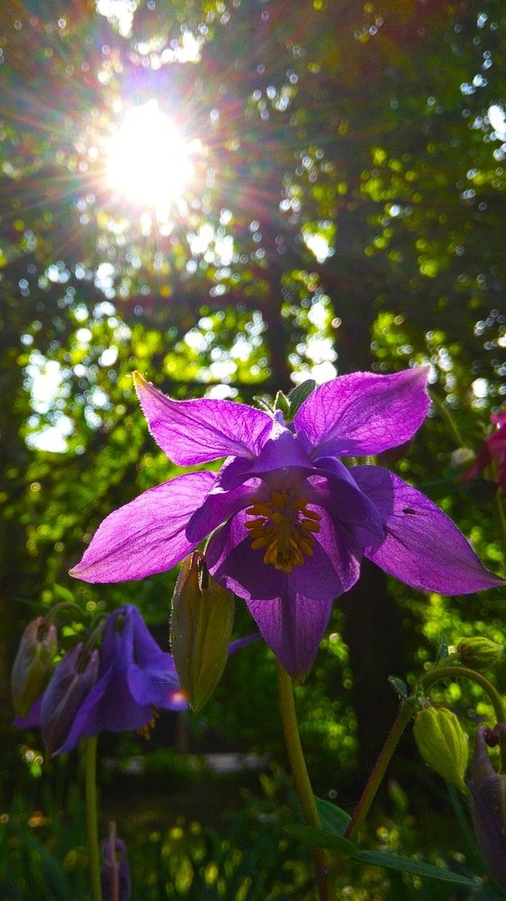 Доброе утро