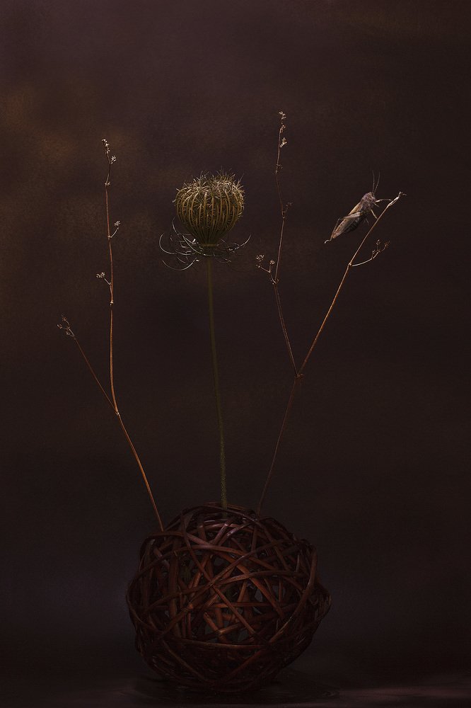 Photograph by Olena Leliuk