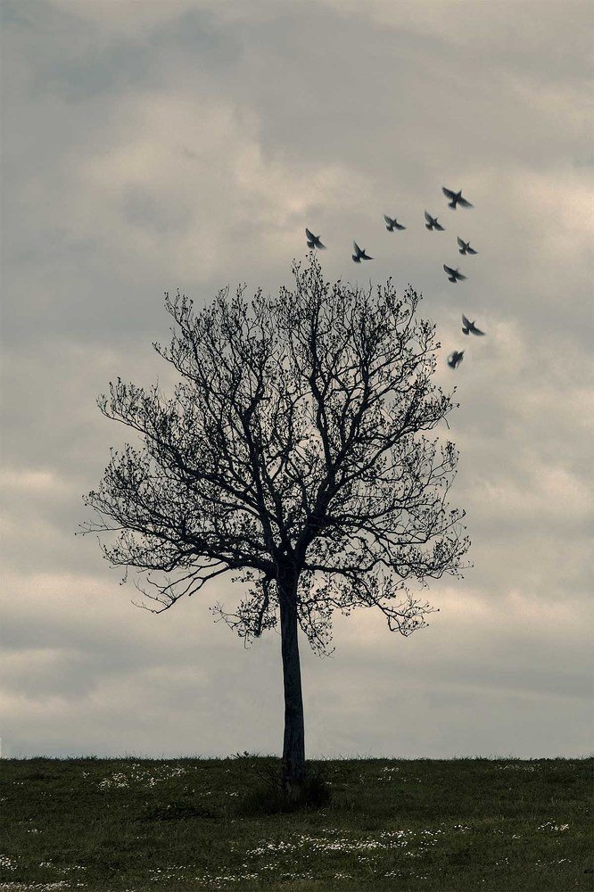 Photograph by Olena Leliuk