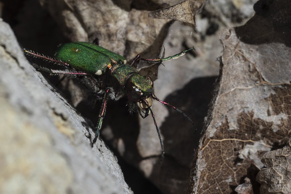 Photograph by Иван Гаврелюк