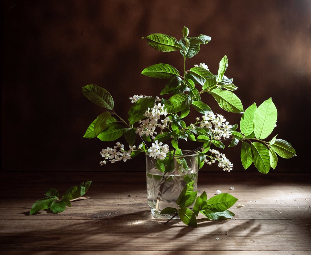 Photograph by Татьяна Макотра