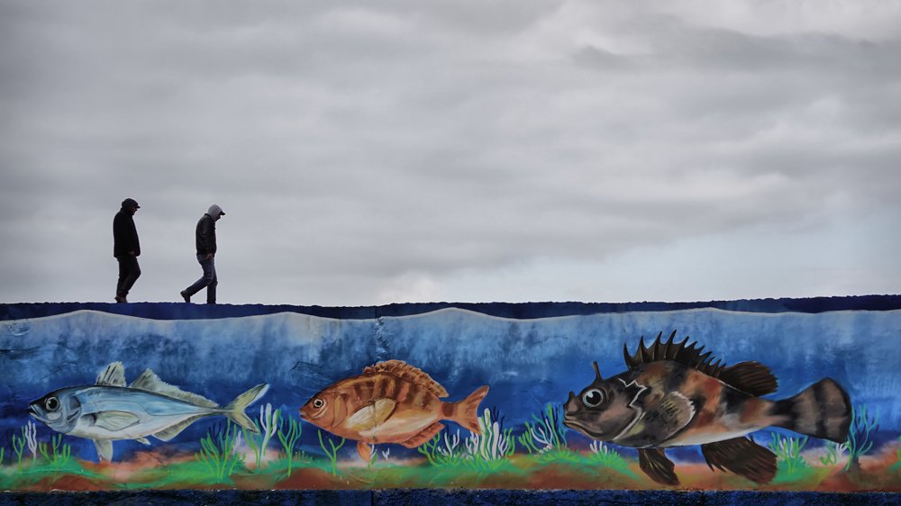 Photograph by Ersin Dağlı