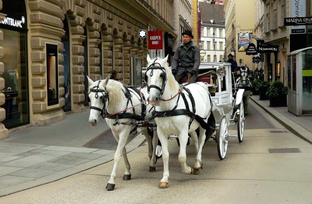 Венская карета