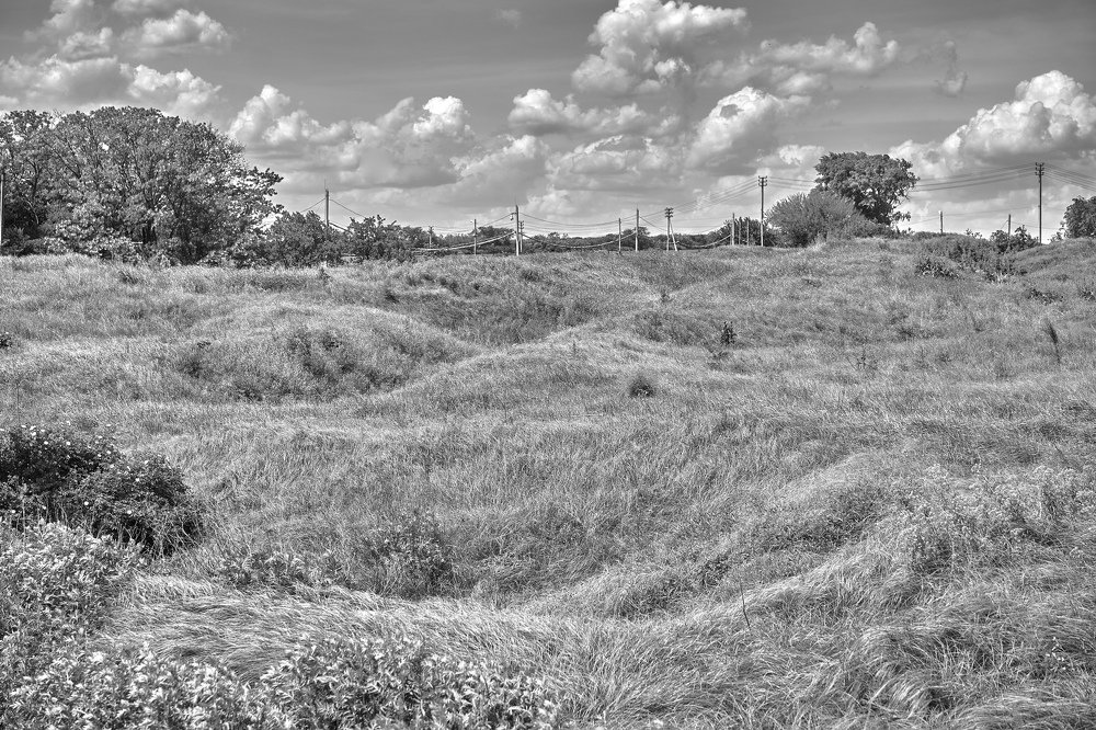 Ковер из травы