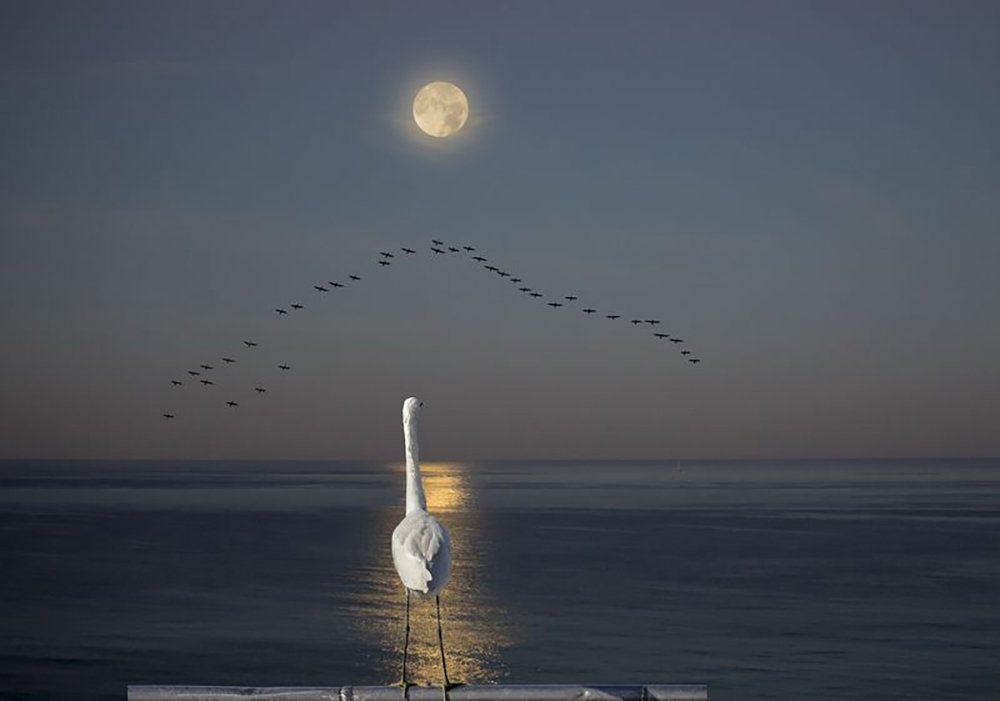 Photograph by Leonid Lan