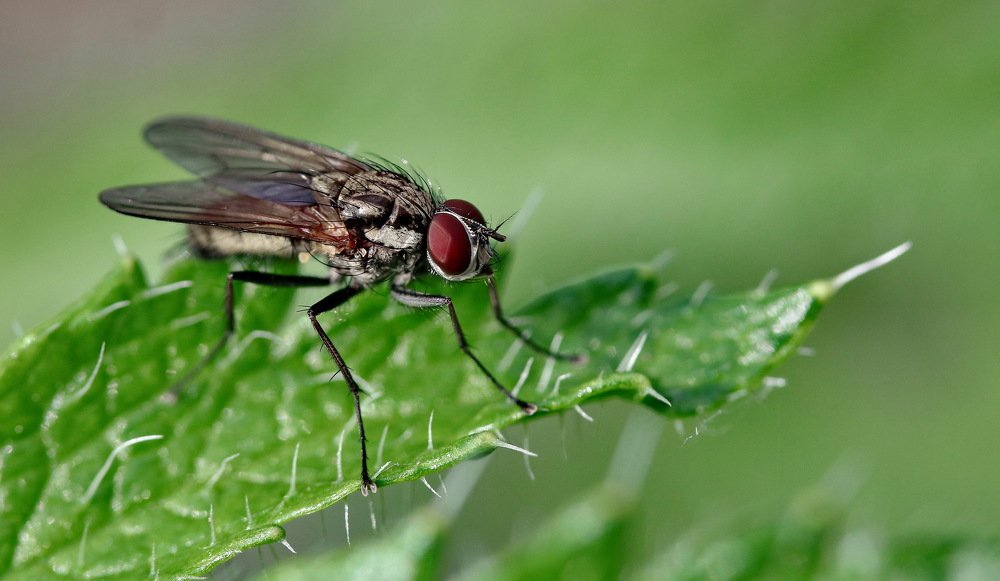 Photograph by Игорь Осипов