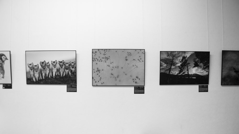 Фотография автора Александр