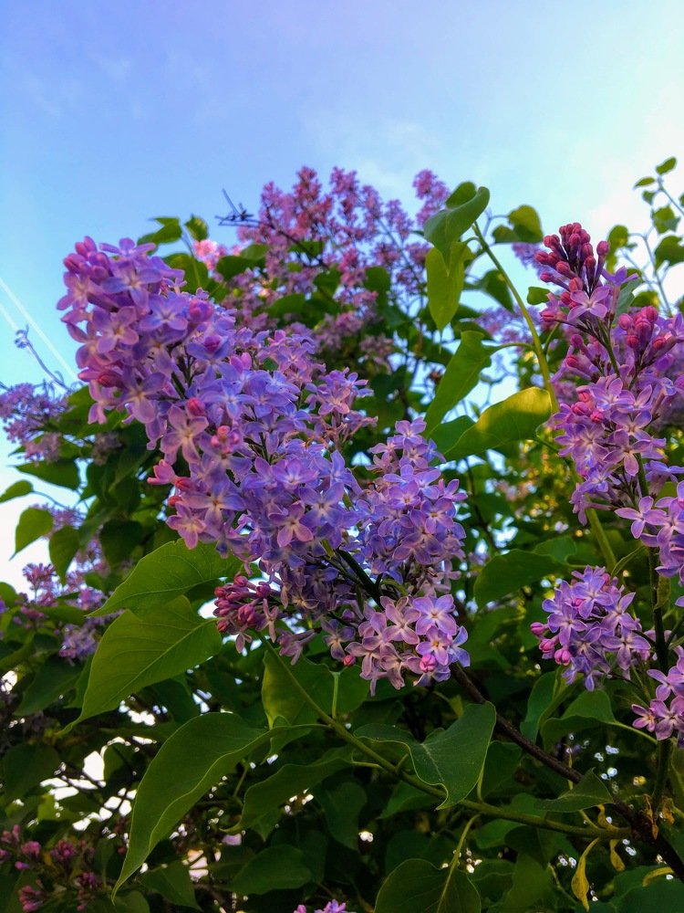 Красота природы