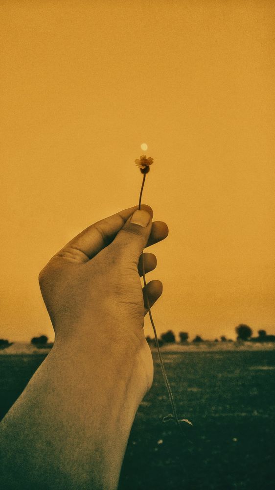 "Aroma & Moon"