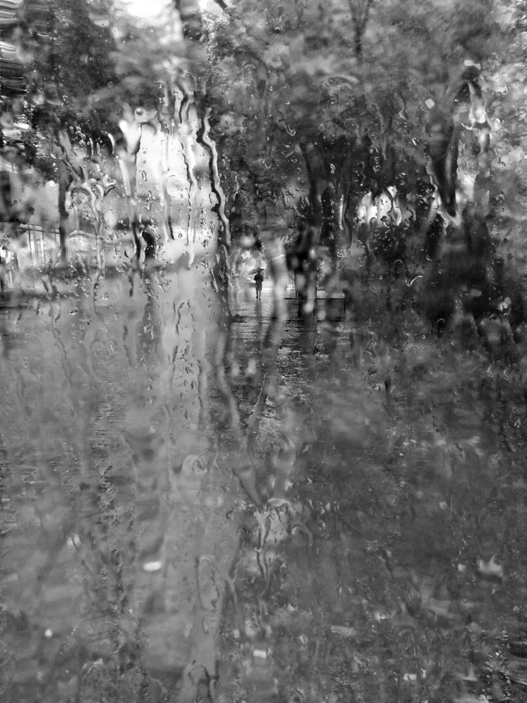 В мокром городе