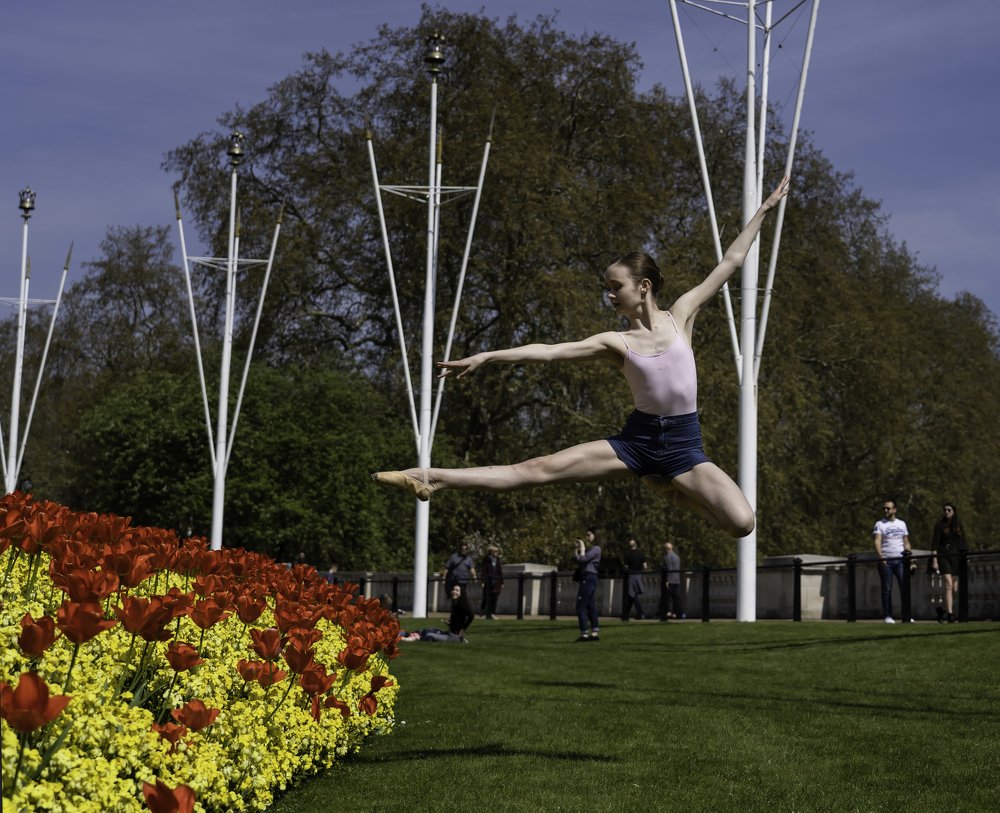 Dancing in the garden