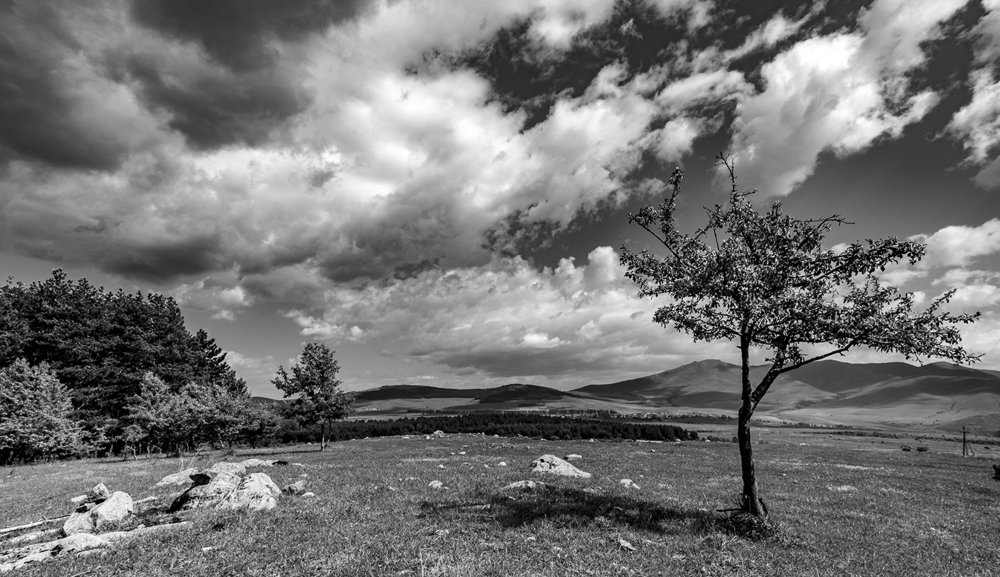 Photograph by Alex Kalpus