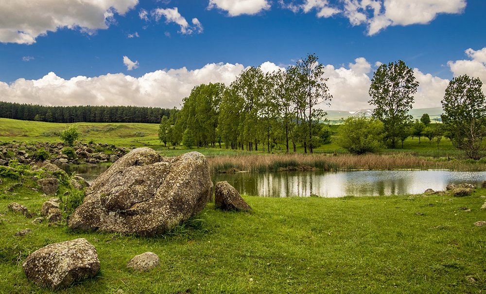 Photograph by Alex Kalpus