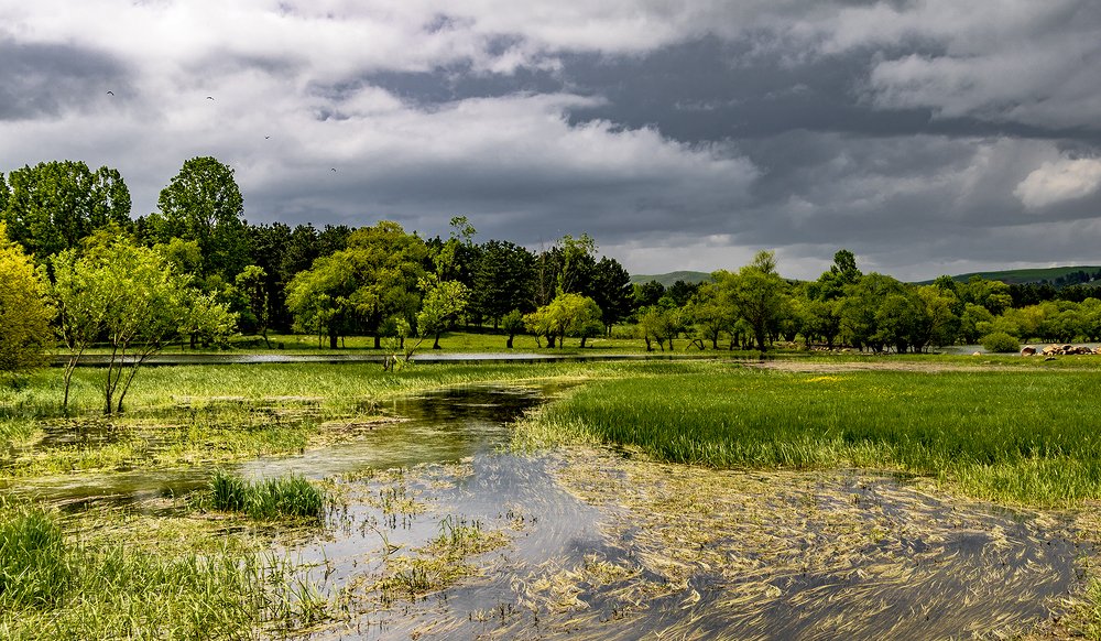 Приток реки Храми. Грузия