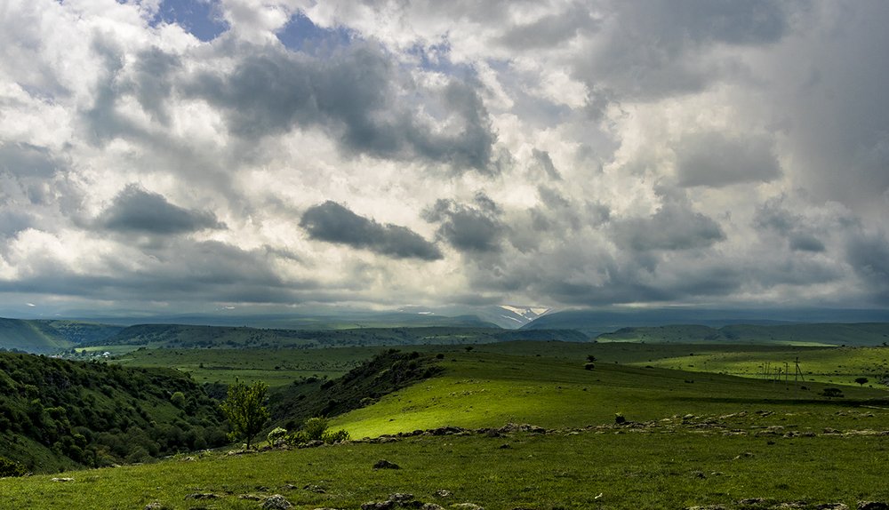 Photograph by Alex Kalpus