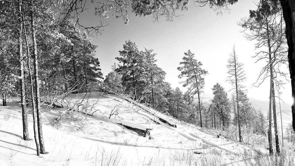 Фотография автора Линдеров Михаил