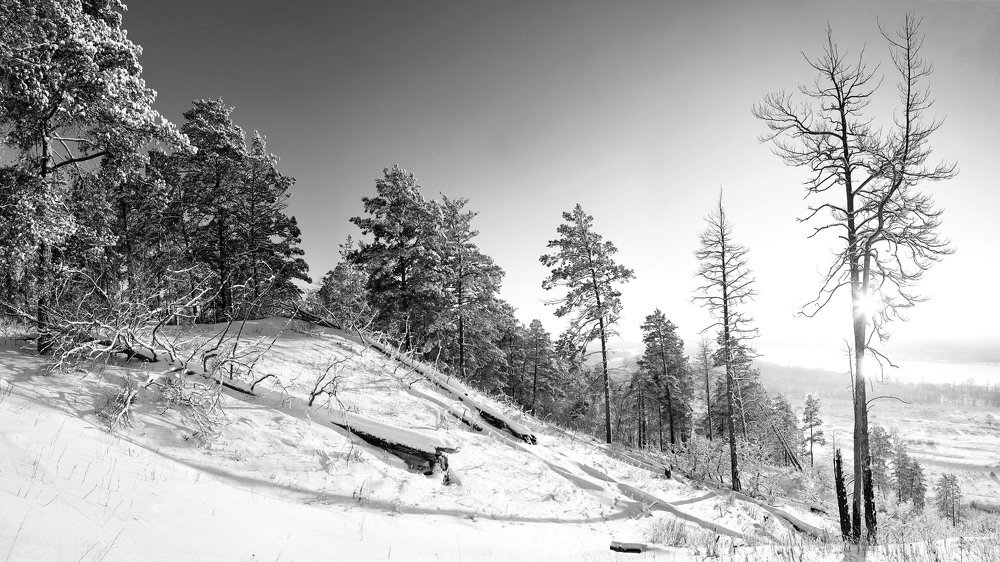 Фотография автора Линдеров Михаил