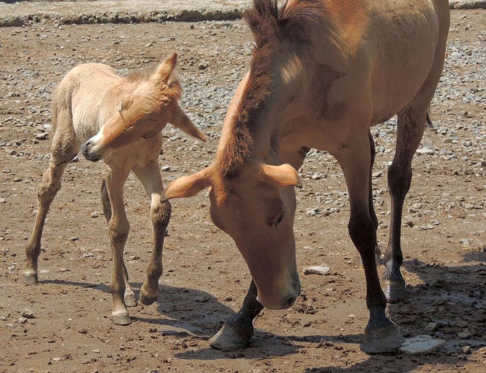 Photograph by Юрий Тихонов