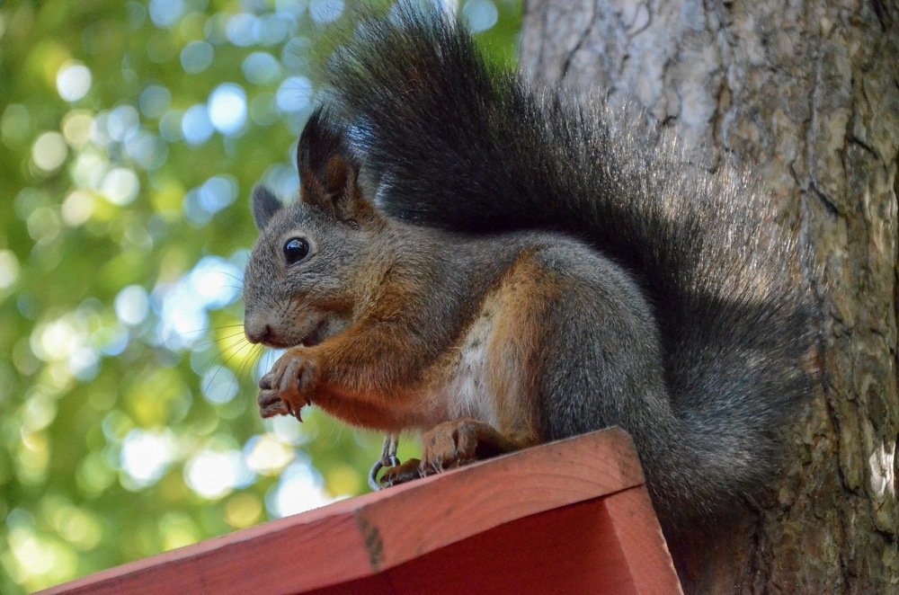 Подготовка в зиме