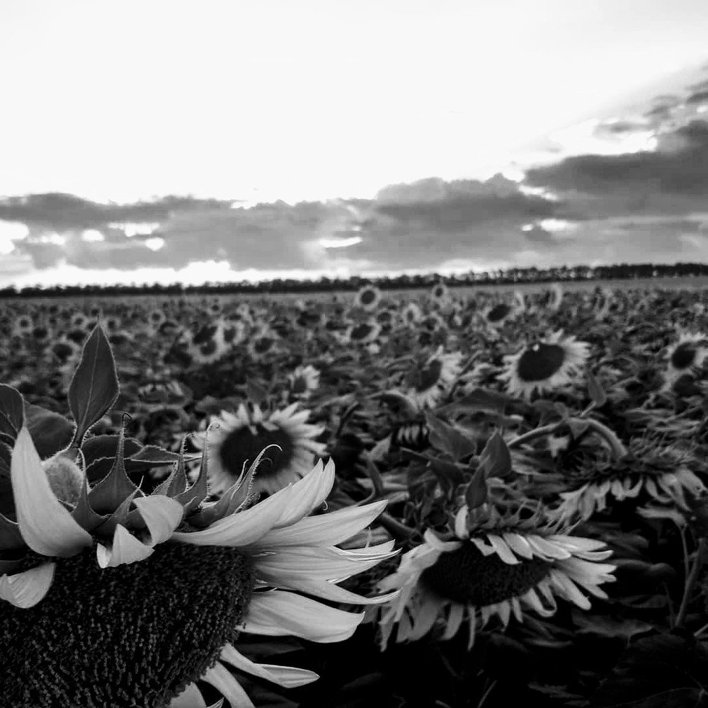 Photograph by Игорь Пирогов