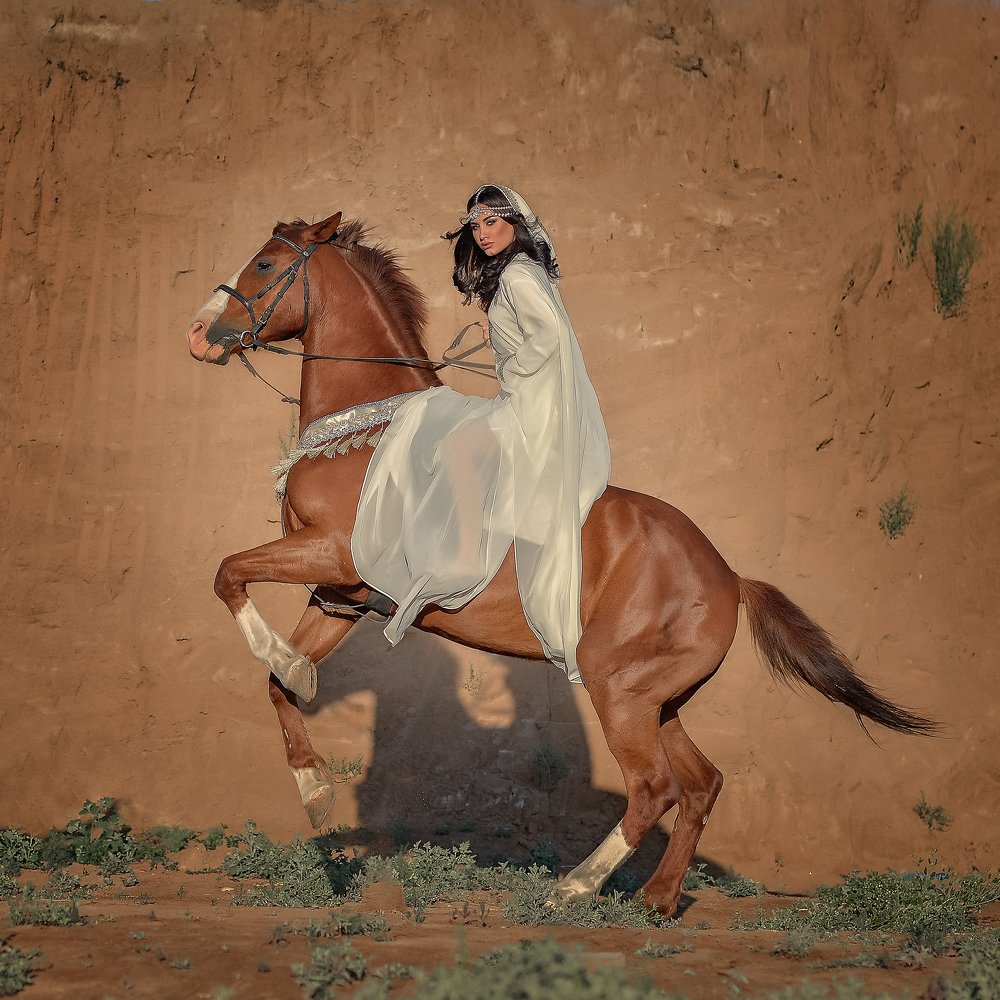 Арабская принцесса