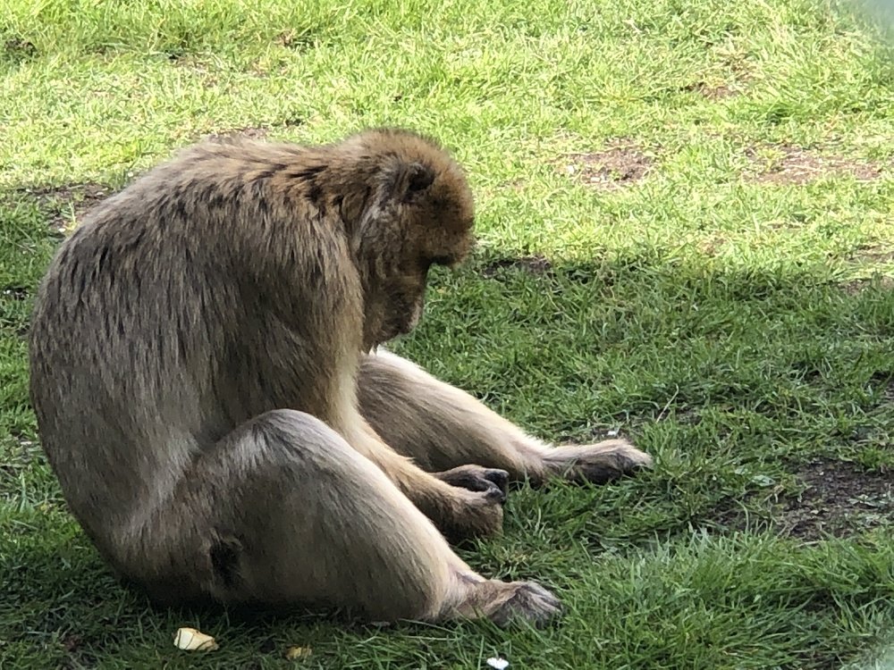 Сельская жизнь