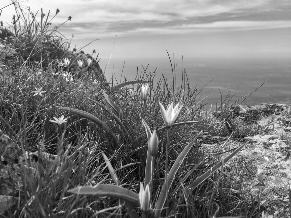 Весна в горах