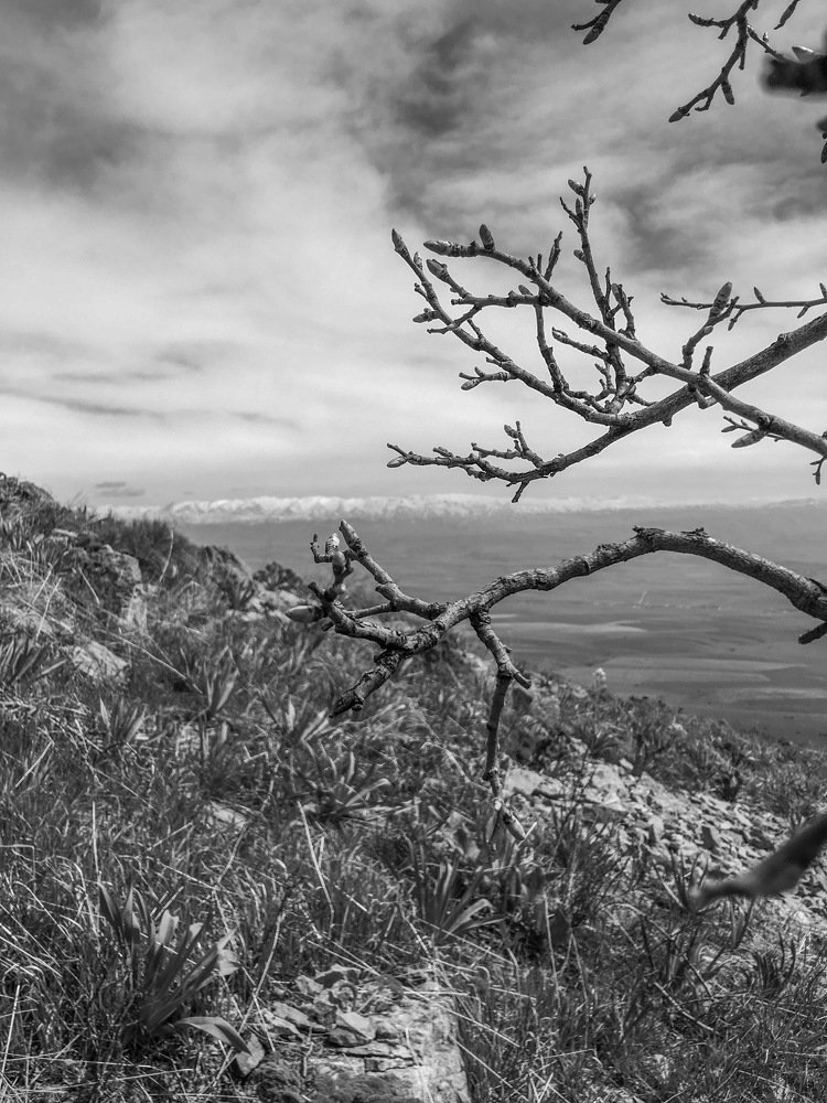 Горный пейзаж