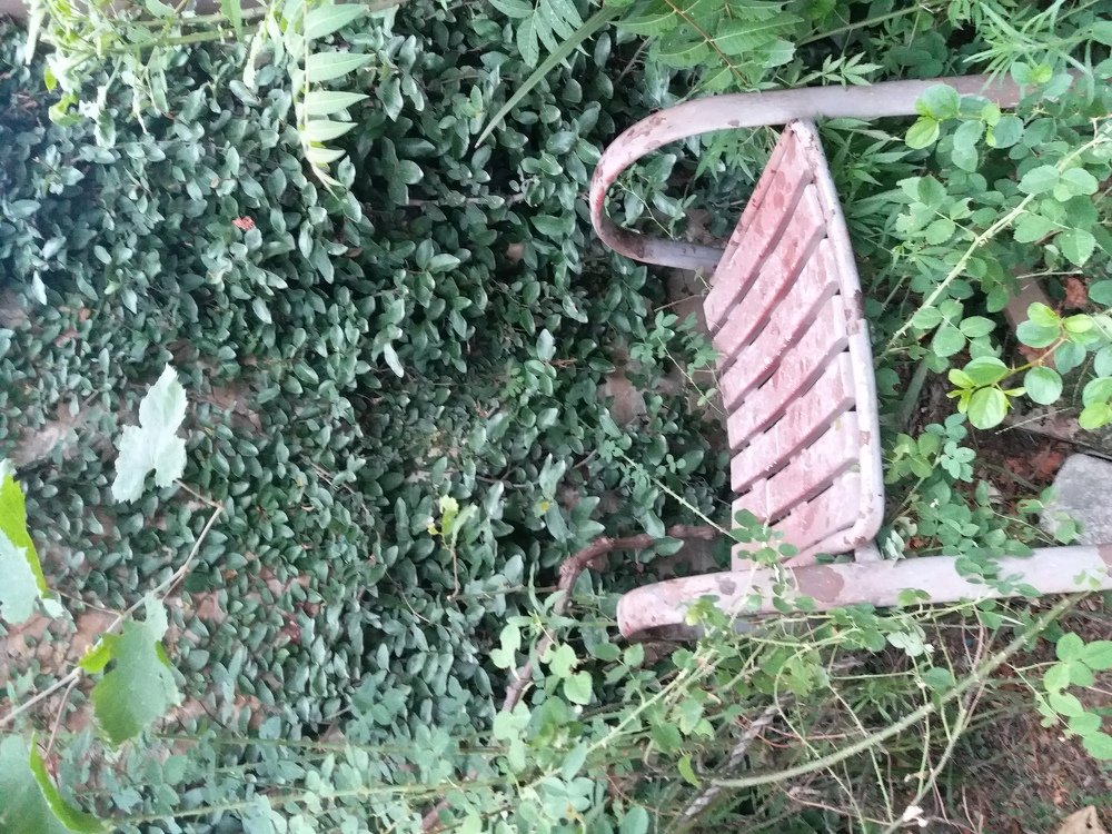 Chair in Greenery