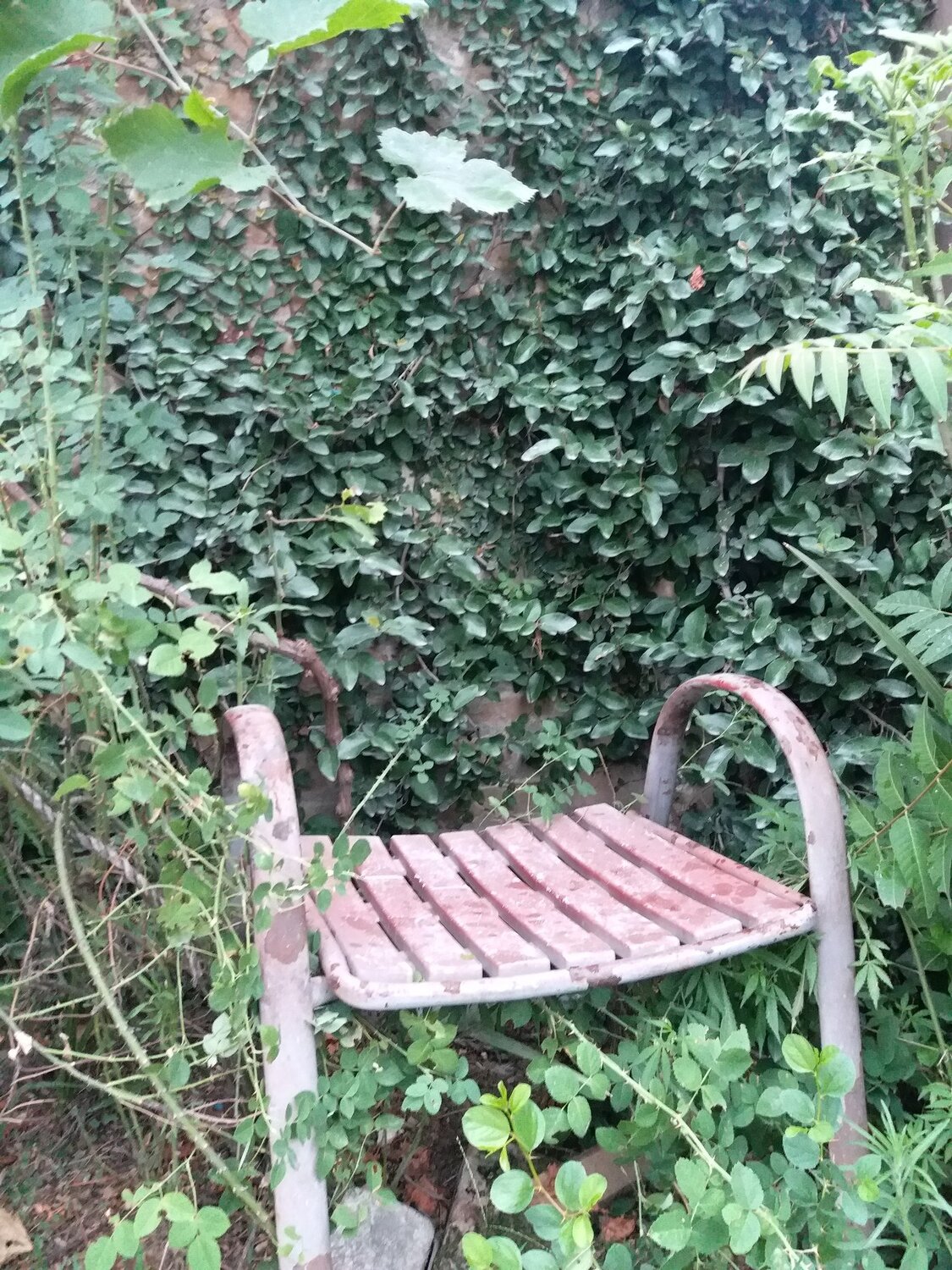 Chair in Greenery