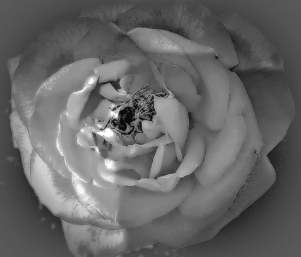 Photograph by Алия Байсыкова