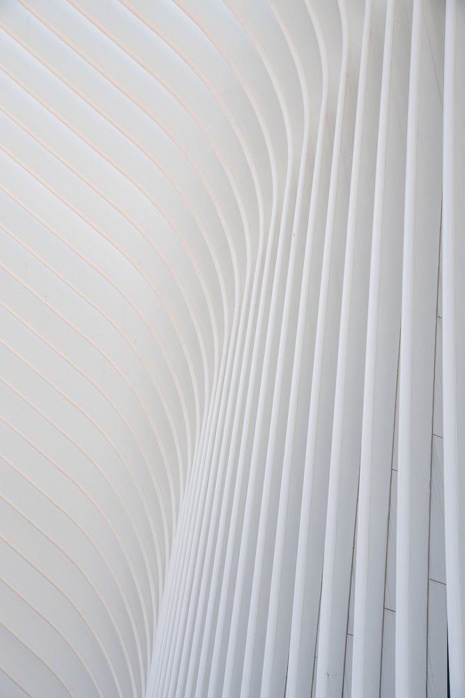 Waves of the Oculus
