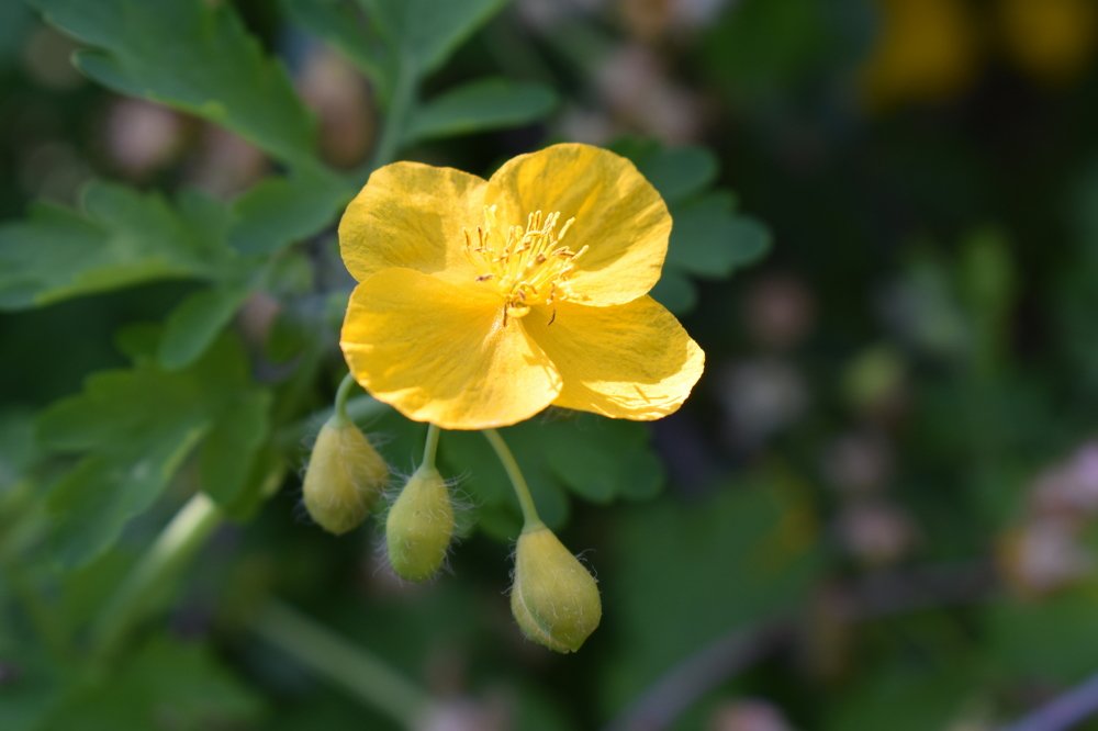 Photograph by Тогжан Таминбаева