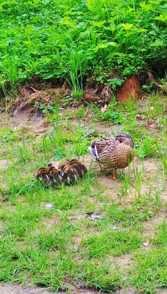 Photograph by Любовь Макарова