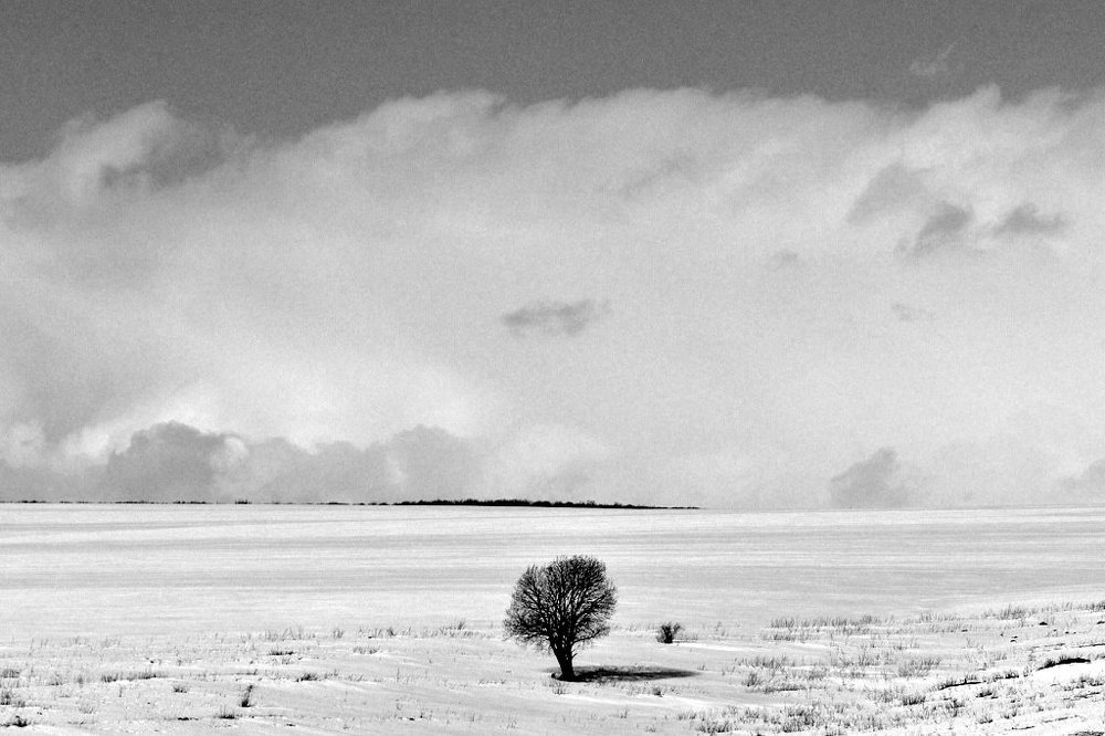 Photograph by Степанов Евгений