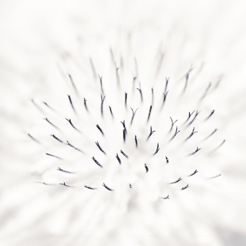 Photograph by Вадим Смирнов