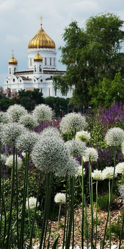 Photograph by Юлия Коробкова