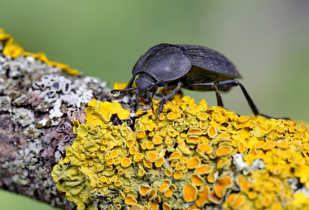 Photograph by Игорь Осипов